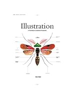 Illustration: A Theoretical & Contextual Perspective (Advanced Level)
