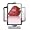 HP W2207 22-inch Widescreen Flat Panel LCD Monitor