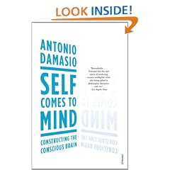 Self Comes to Mind: Constructing the Conscious Brain