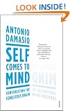 Self Comes to Mind: Constructing the Conscious Brain