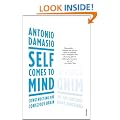 Self Comes to Mind: Constructing the Conscious Brain