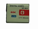 DSC-H3.W200.H7.W80.T20.T100��  NP-BG1  �Ή��o�b�e���[