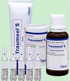 Heel Traumeel Ointment 100g