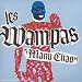 Manu Chao