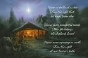 Never So Brilliant A Star-Boxed Christmas Cards (Goodnews Greetings)