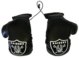 NFL Oakland Raiders Car Rearview Mirror Mini Boxing Gloves