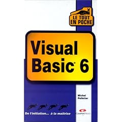 Tout en poche : Visual Basic 6