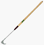 HOOK WEED OR BRIAR