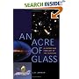 An Acre of Glass: A History and Forecast of the Telescope