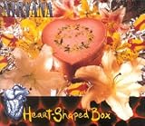 Heart-Shaped Box