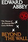 Beyond the Wall: Essays from the Outside