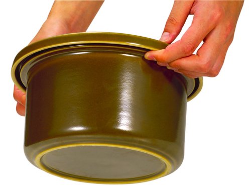 体にやさしい浅漬器 菜健好房