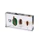 Butterfly Life Cycle Nature Block