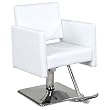 "Masina" White Euro Styling Chair with Square Base