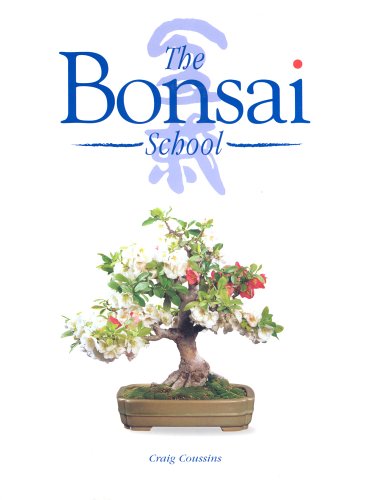 The Bonsai School