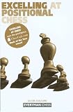 Excelling at Positional Chess (Everyman Chess) by Jacob Aagaard