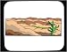 Mauspad mit Dekoration - gr�n, United States, s�dwestlichen W�ste, Sukkulenten, Cactus, leafless, dornig, stachelig