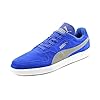 Puma Mens Icra Trainer Sneakers