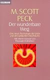 Der wunderbare Weg
