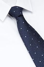 Ultimate Performance Pure Silk Textured Spotted Tie