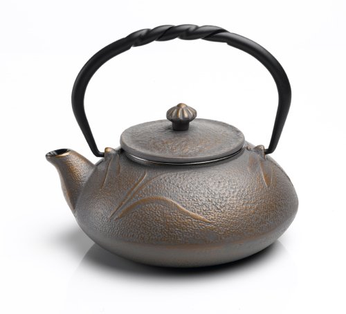 "Rosseto Japanese Style Cast Iron Teapot 18.6 Ounce, Gold Gray" "Rosseto Japanese Style Cast Iron Teapot 18.6 Ounce, Gold Gray"