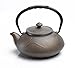 Rosseto Japanese Style Cast Iron Teapot 18.6 Ounce, Gold Gray
