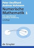 Eine Algorithmisch Orientierte Einf Hrung: Eine algorithmisch orientierte Einfuhrung (de Gruyter Lehrbuch)