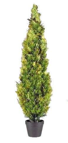 National Tree Arborvitae Tree with Dark Green Round Plastic Pot, 72-Inch