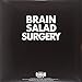 Brain Salad Surgery