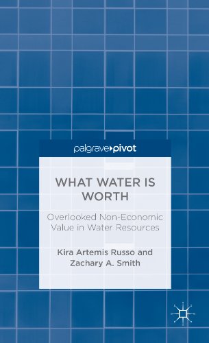 What Water Is Worth: Overlooked Non-Economic Value in Water Resources (Palgrave Pivot)