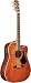 Alvarez Acoustic Guitar PD85SCAV Cutaway Dreadnought Top Solid Spruce Back & Side Solid Rosewood Bac