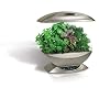 AeroGarden Classic 7-Pod with Gourmet Herb Seed Kit, Silver