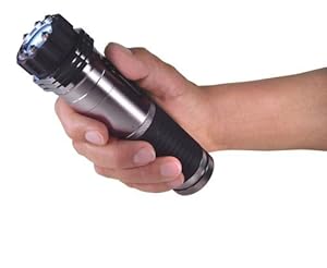 ZAP Light Stun Gun & Flashlight - 1 Million Volts