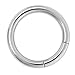 BodyJ4You Surgical Steel Seamless Segment Ring