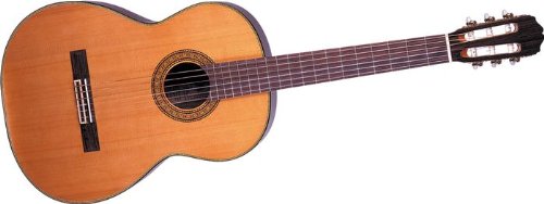 Takamine Pro Series C132S Acoustic Guitar