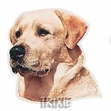 Eigenschaften Trixie  / Aufkl. Labrador, gelb, (K)