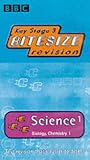 Key Stage 3 Bitesize Revision