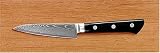 Damascus Paring Knife
