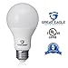 Great Eagle 100W Equivalent LED Light Bulb 1575 Lumens A19 or A21 Warm White 2700K Dimmable 14-Watt UL Listed (4-Pack)