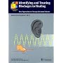 Identifying and Treating Blockages to Healing: New Approaches to Therapy-Resistant Patients