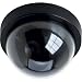 Clover Dome Simulated Security Camera