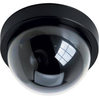Clover Dome Simulated Security Camera
