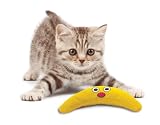 Petstages Green Magic Boomerang Buddy Catnip for Cats
