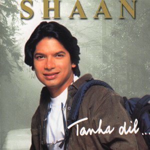 Shaan - Bhool Ja Lyrics - Zortam Music