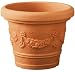 11.5SienDec TC Planter