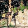 Brass Baron Large Crane Pair