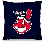 Biederlack Cleveland Indians 27" Floor Pillow