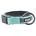 Pawtitas Lumberjack Padded Martingale Collar for Dogs | Soft Neoprene Dog Collar for Your pet's Comfort Made with Reflective Band for Maximum Visibility | Fits Small and Large Pets - Small Teal