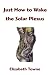 Book Just How to Wake the Solar Plexus