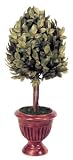 22 BOXWOOD FINIAL TOPIARY-2PC.